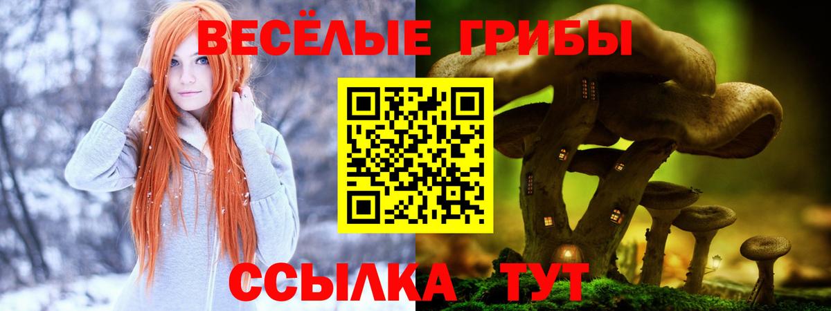 Махачкала  Галлюциногенные грибы Psilocybine cubensis  Вход с VPN 